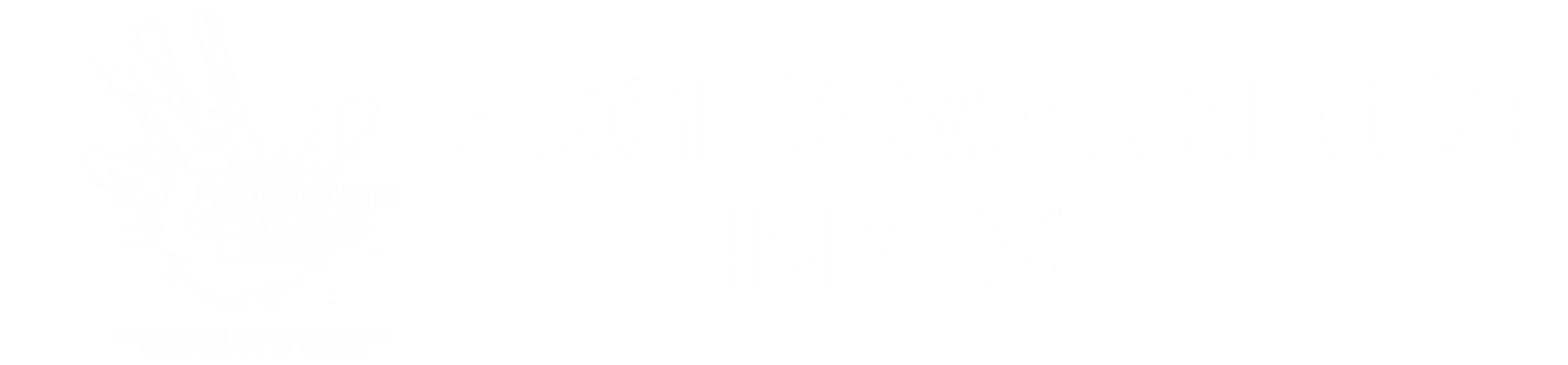 AMVS Invest