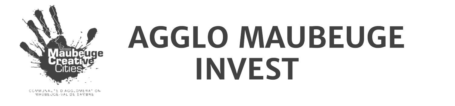 AMVS Invest